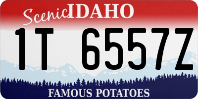 ID license plate 1T6557Z