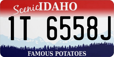 ID license plate 1T6558J