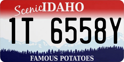 ID license plate 1T6558Y