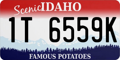 ID license plate 1T6559K