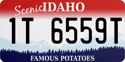 ID license plate 1T6559T