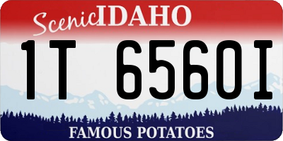 ID license plate 1T6560I