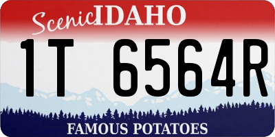 ID license plate 1T6564R