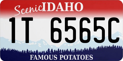 ID license plate 1T6565C