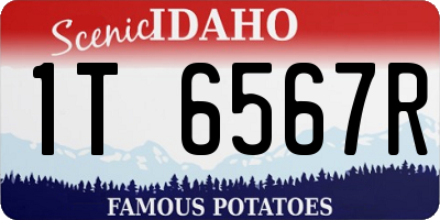 ID license plate 1T6567R
