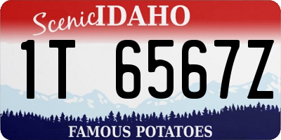 ID license plate 1T6567Z