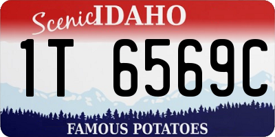 ID license plate 1T6569C
