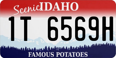 ID license plate 1T6569H