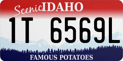 ID license plate 1T6569L