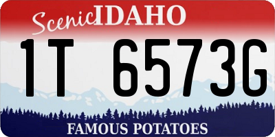 ID license plate 1T6573G