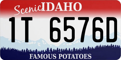 ID license plate 1T6576D