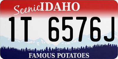 ID license plate 1T6576J