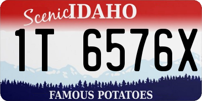 ID license plate 1T6576X