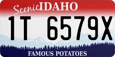 ID license plate 1T6579X