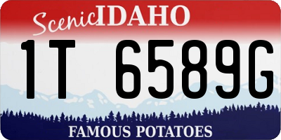ID license plate 1T6589G