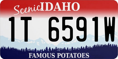 ID license plate 1T6591W