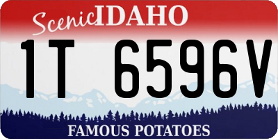 ID license plate 1T6596V
