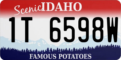 ID license plate 1T6598W