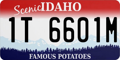 ID license plate 1T6601M