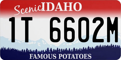 ID license plate 1T6602M