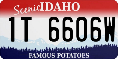 ID license plate 1T6606W