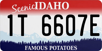 ID license plate 1T6607E