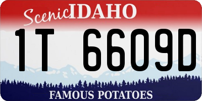 ID license plate 1T6609D