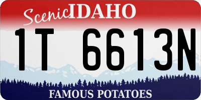 ID license plate 1T6613N