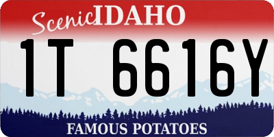 ID license plate 1T6616Y