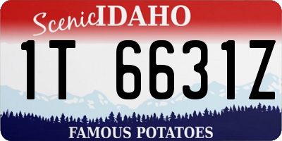 ID license plate 1T6631Z