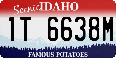 ID license plate 1T6638M