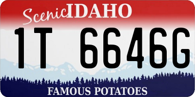 ID license plate 1T6646G