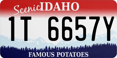 ID license plate 1T6657Y