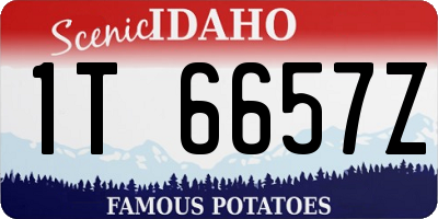ID license plate 1T6657Z