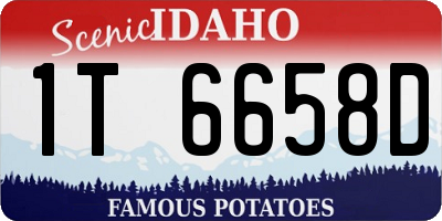 ID license plate 1T6658D