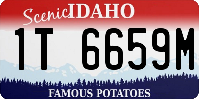 ID license plate 1T6659M
