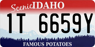 ID license plate 1T6659Y
