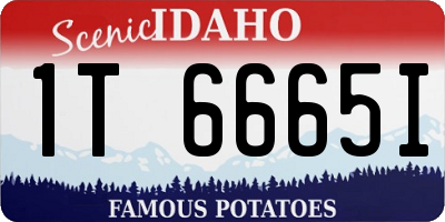 ID license plate 1T6665I