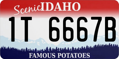ID license plate 1T6667B
