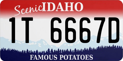ID license plate 1T6667D
