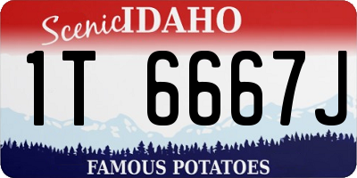 ID license plate 1T6667J