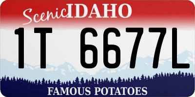 ID license plate 1T6677L