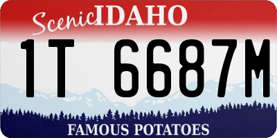 ID license plate 1T6687M