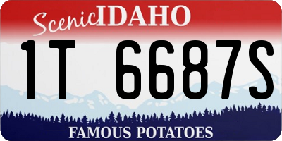 ID license plate 1T6687S