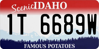 ID license plate 1T6689W