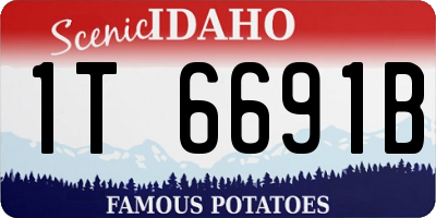 ID license plate 1T6691B