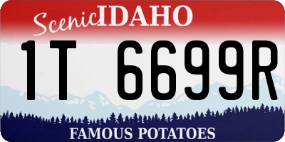 ID license plate 1T6699R