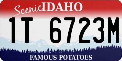 ID license plate 1T6723M