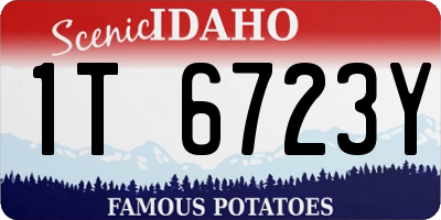 ID license plate 1T6723Y
