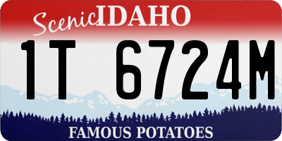 ID license plate 1T6724M
